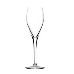 Degrenne Anytime Transparent