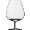 Degrenne Anytime Transparent