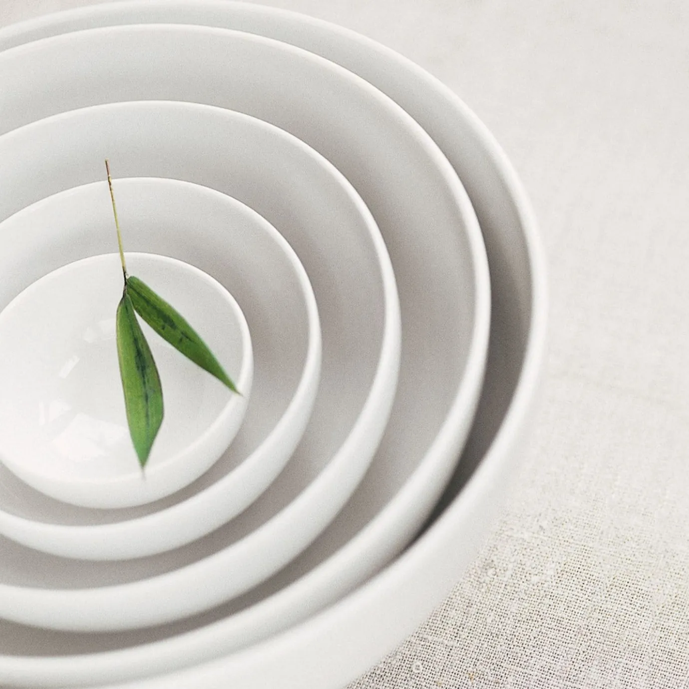 Degrenne Modulo Blanc